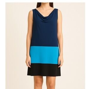 Muse Colorblock Sleeveless Cowl Neck Sheath Dress Blue Black Size 10